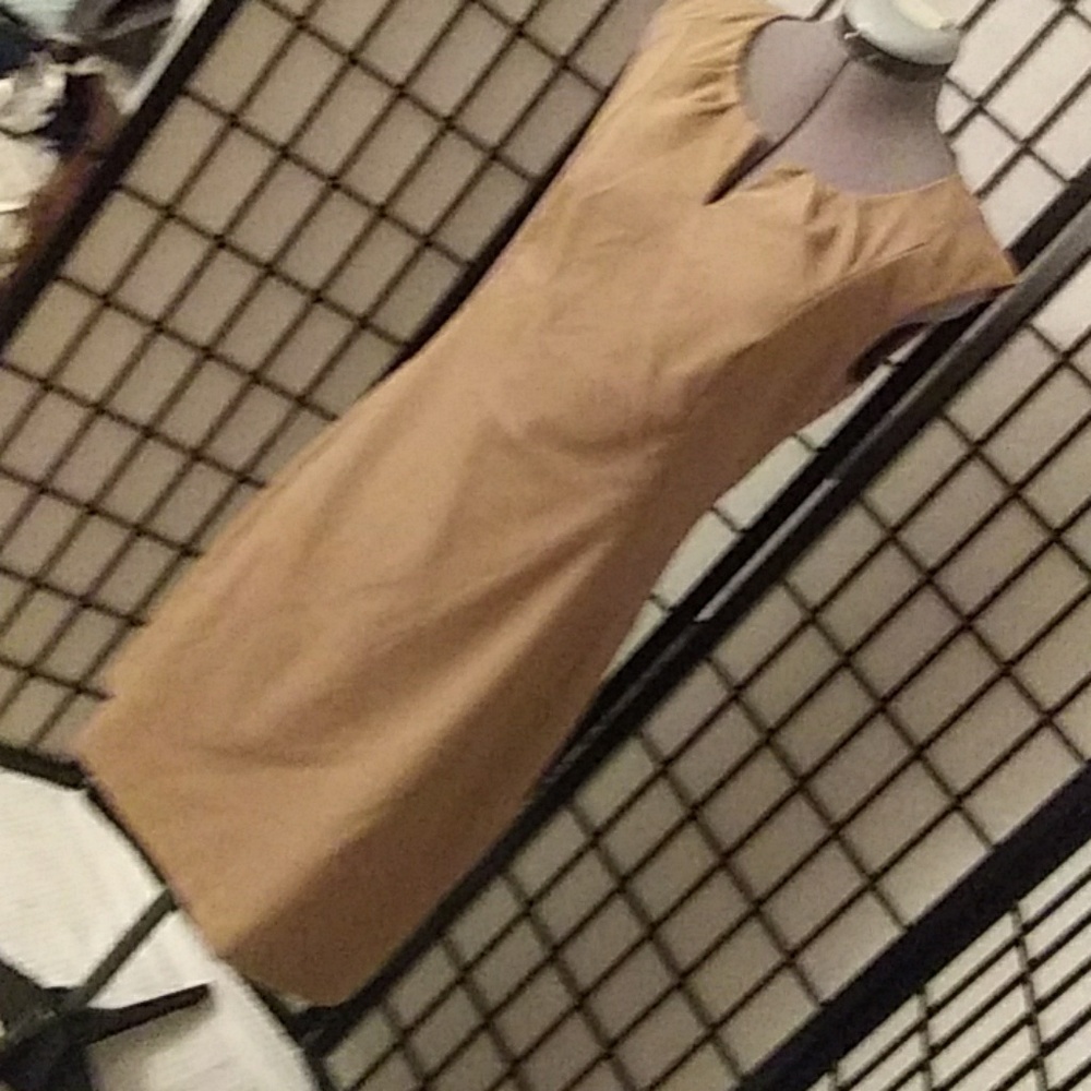 Tan A-line Dress from Coldwater Creek